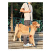 Imagen de Elevador para perros de cuerpo completo M
