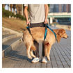 Imagen de Elevador para perros de cuerpo completo M