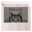 Imagen de Felpudo Welcome Cat 60x40cm