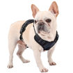 Imagen de Arnes confortable NEGRO XL