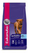 Imagen de Eukanuba puppy large breed 15kg