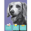 Imagen de M-LINE CACHORROS 1kG