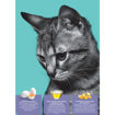 Imagen de M-LINE GATOS FILHOTES 10.1KG