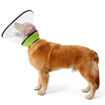 Imagen de Collar isabelino extra grande XXL